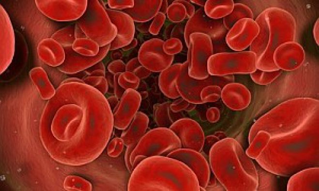 Omocisteina - Colesterolo e Patologie cardio-vascolari